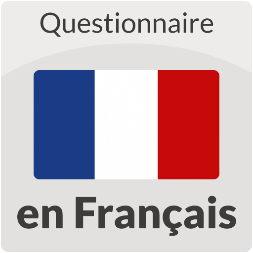Questionnaire en Français icon