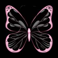 Black Pink Wallpaper on 9Apps