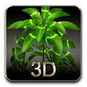 My 3D plant