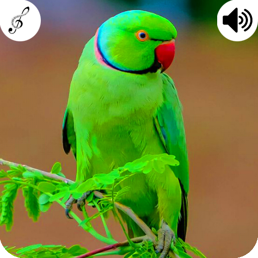 Parrot Sound icon