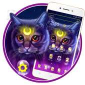 Cute Fluffy Kawaii Cat Launcher Theme 😻