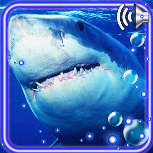 Shark Terrible Live Wallpaper icon