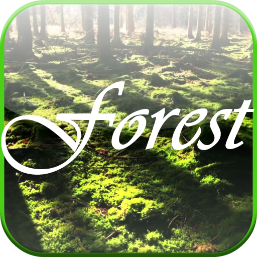 Forest Video Live Wallpaper icon