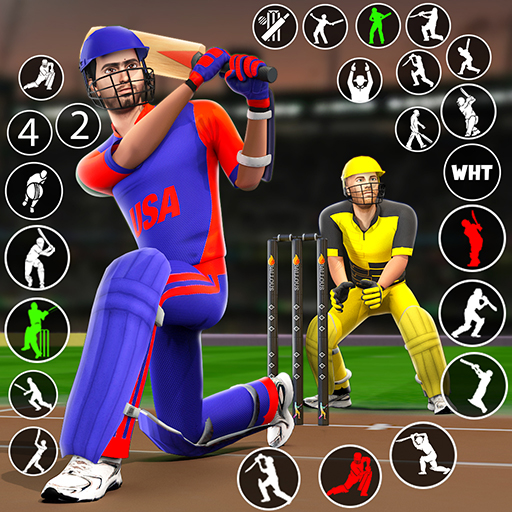 Bat &amp; Ball: Play Cricket Games icon