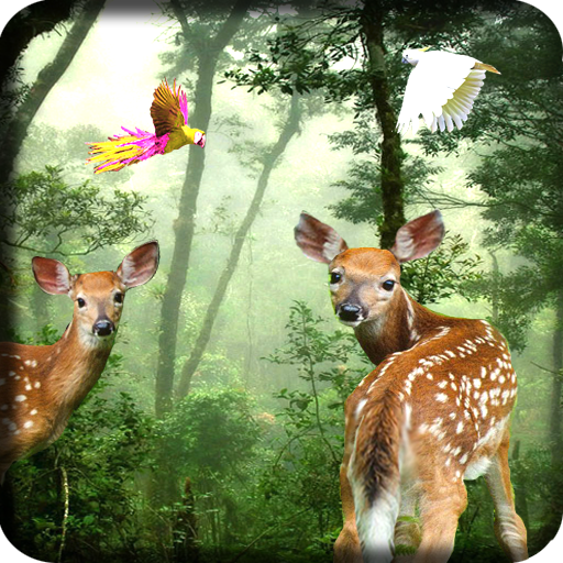 Rain Forest Live Wallpaper icon