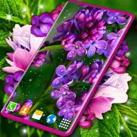 Flower Blossom Live Wallpaper on 9Apps