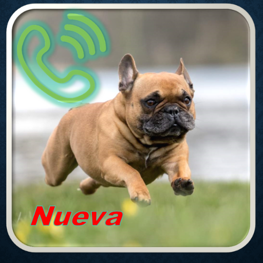 Dog Tones, Free Ringtones, Dog Barking icon