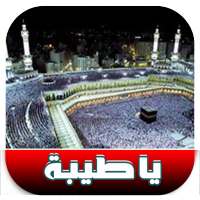 أغنية يا طيبة - Ya Tayba on 9Apps