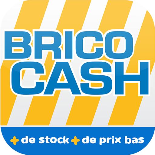 Brico Cash - Scan icon