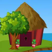 Free New Escape Game 70 Pet Cat Escape