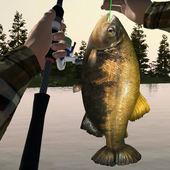 Ultimate Fishing Sim 3D - hook and catch icon