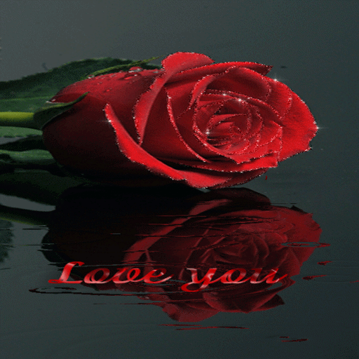 Shining Rose Live Wallpaper icon