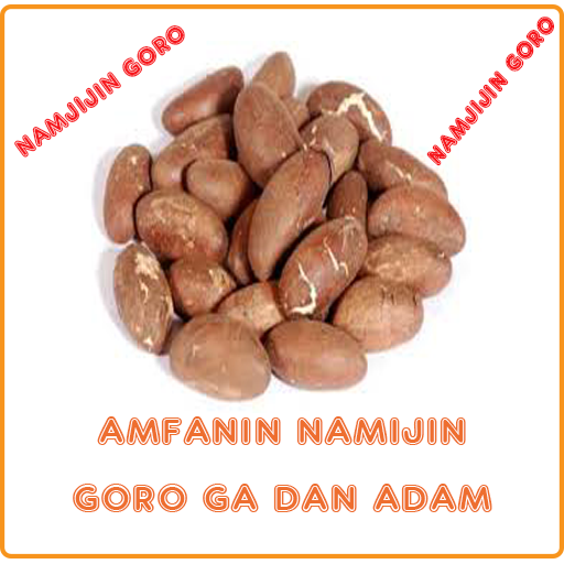 Amfanin Namijin Goro icon