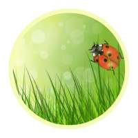 Pure Nature Free Live Wallpaper