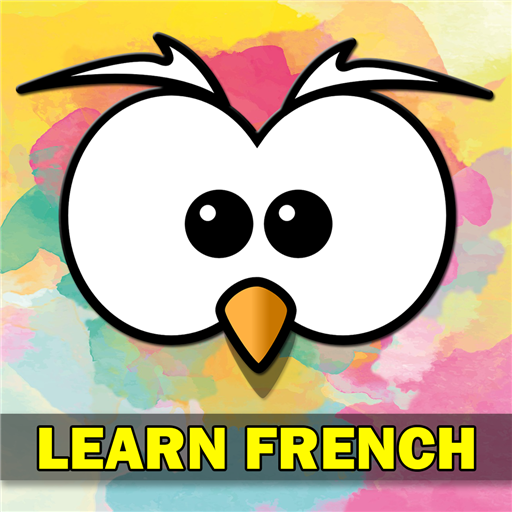 Learn French Language icon