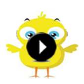 The Pio Chick on 9Apps