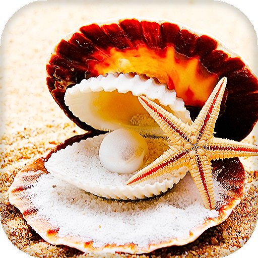 Ракушки Живые Обои (Фоны &amp; Темы) иконка