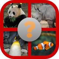 Guess the animal - Earn Money