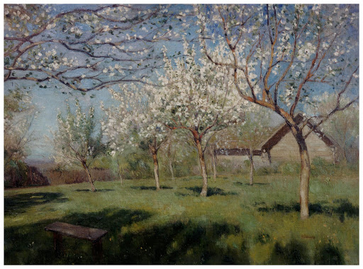 Animated Pictures screenshot 1