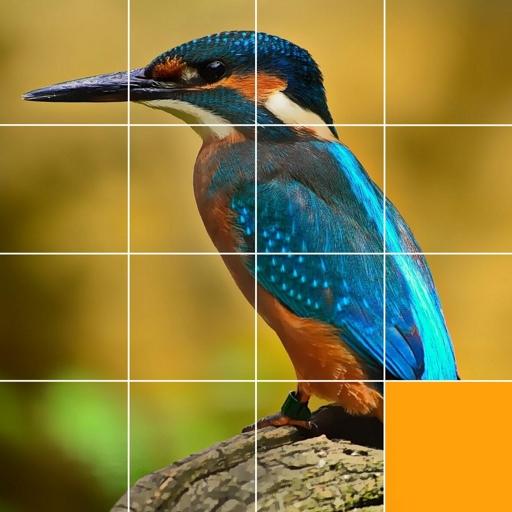 Sliding Puzzle - Sliding Block Puzzles 2021 icon