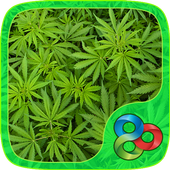 Marijuana - GO Launcher Theme icon