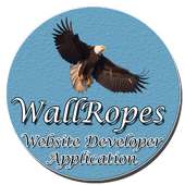 Website Developer on 9Apps