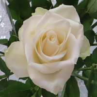 99 Namen Allah's: Esmaül-Hüsna on 9Apps