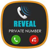 Display private number on 9Apps