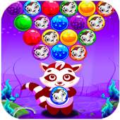 Kitten Bubble Shooter