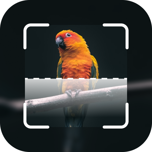 Bird identification: Picture bird identifier app icon