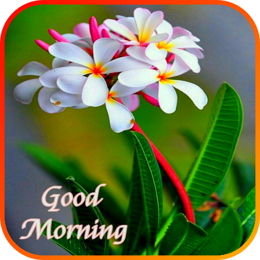 Good Morning Image 2021 أيقونة