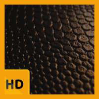 Black Leather HD FREE Wallpaper on 9Apps