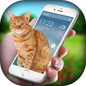 Cat on Screen - Cat in Phone Prank icon