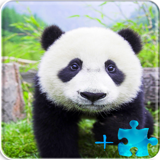 Panda Jigsaw Puzzles   Games Puzzle icon