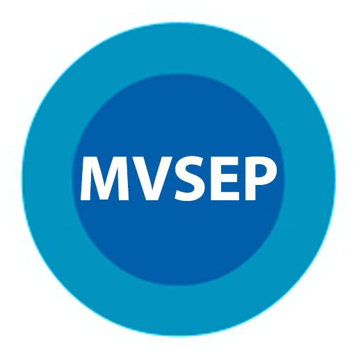 Music Voice Separator icon