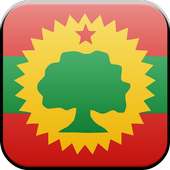 The Best Oromo Music on 9Apps