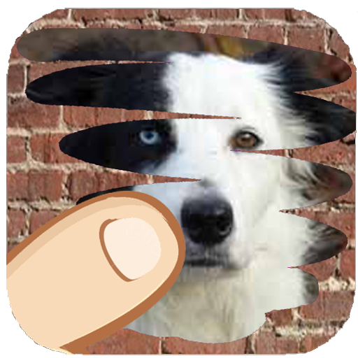 Dog breeds, scratch and guess which one is hiden icon