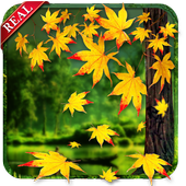 Real Autumn Live Wallpaper icon