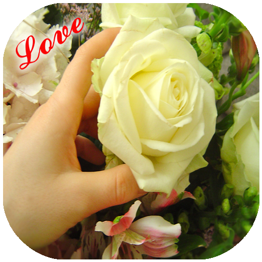 Imagens românticas de amor para conquistar icon