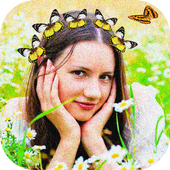 Butterfly Crown icon