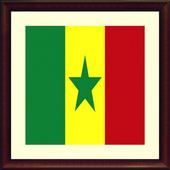 TV Senegal Info channel icon
