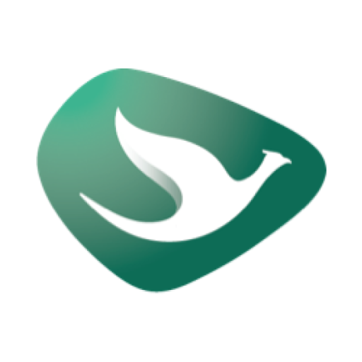 BigBird Access - Driver icon