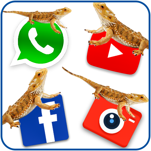 Lizard on social apps – funny prank 2018 icon