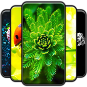 Macro Wallpapers icon