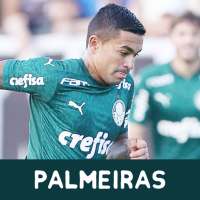 Wallpaper for Palmeiras : Papel de Parede on 9Apps