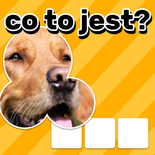 Zoom Quiz: Gra Zdjęciowa icon