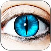 Cat Eye Photo Editor Tiger Eye आइकन
