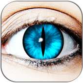 Cat Eye Photo Editor Tiger Eye on 9Apps