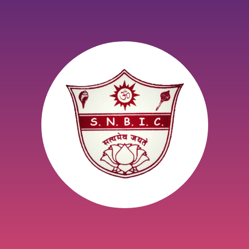 SNB | Connect icon