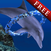 Dolphin Ring Trial icon